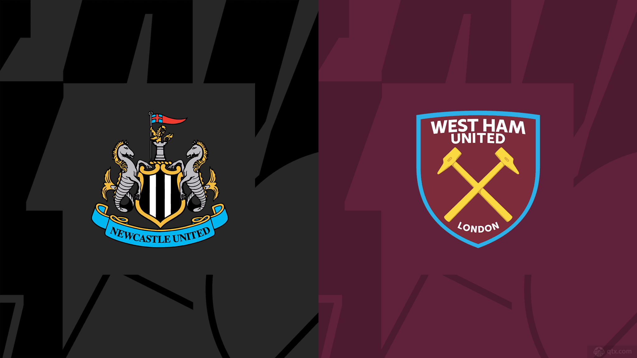 不仅可以提 不仅可以提